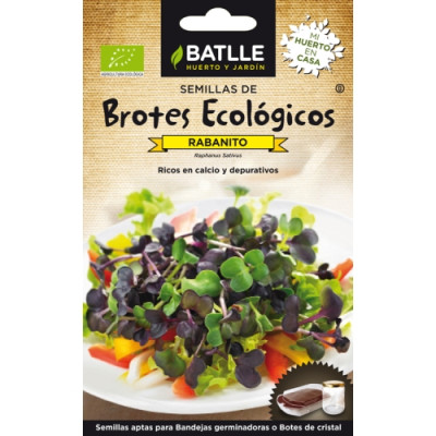 Brotes Ecologicos Rabanito Sango