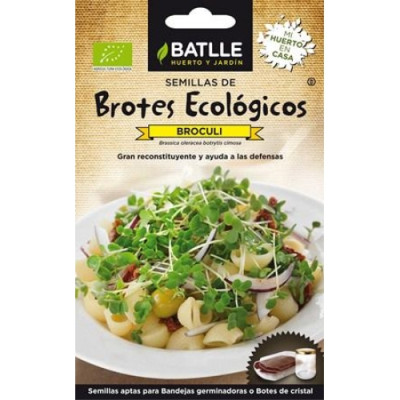 Brotes Ecologicos De Broculi