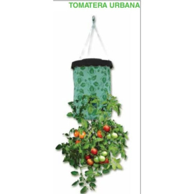 Tomatera Urbana 40X22Cm.