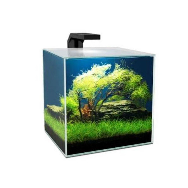 Acuario Cube Aqua 10 Lts. Con Filtro Cf20