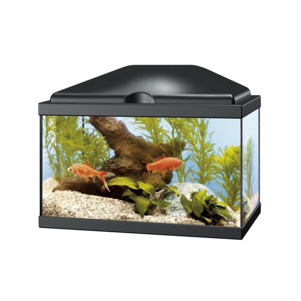 Acuario Aqua 20 Led. Negro