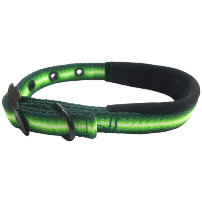 Collar Electric Neopreno 15X350Mm. Verde