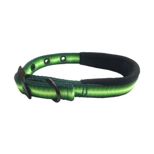 Collar Electric Neopreno 15X350Mm. Verde