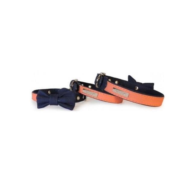 Collar Perro Nylon Azul Y Salmon