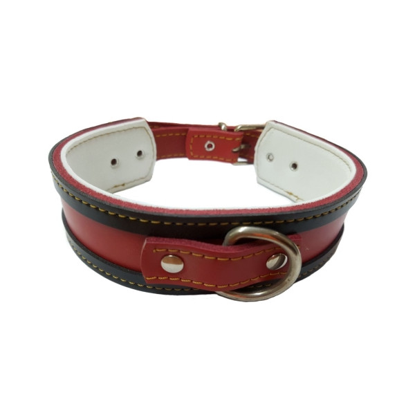 Collar Cuero Para Galgos