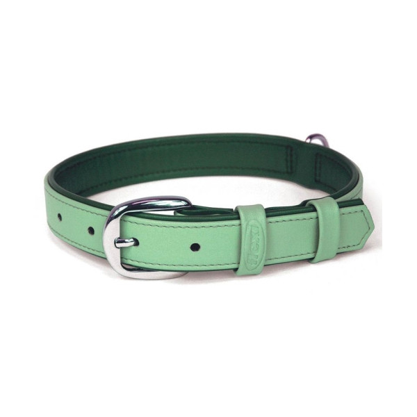 Collar Cuero Perros Summertime