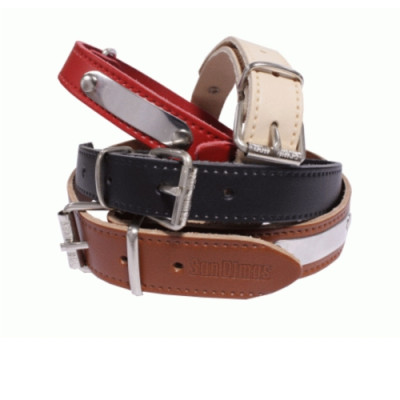 Collar Cuero Con Placa 18Mm.Negro