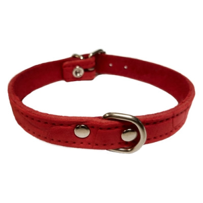 Collar Piel Labrado 12X300 Rojo