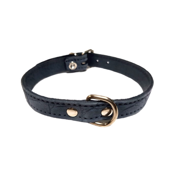 Collar Piel Labrada Para Perros Pequeños