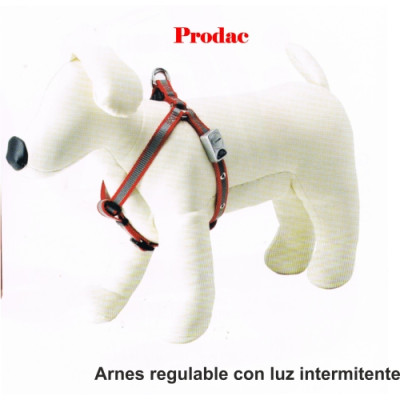 Arnes Regulable Con Luz Intermitente 25X600/900