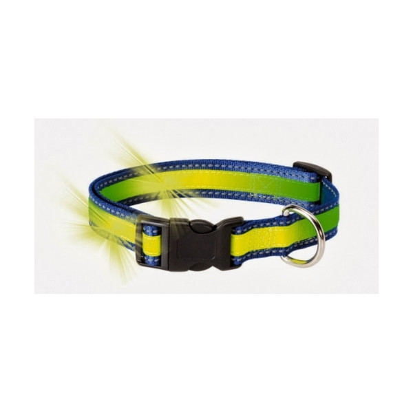 Collar Fosforescente Y Reflectante Para Perros