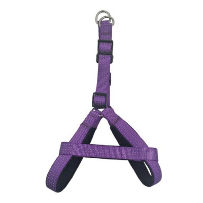 Arnes Nylon Liso Morado 1.5 X 40-50 Cm.