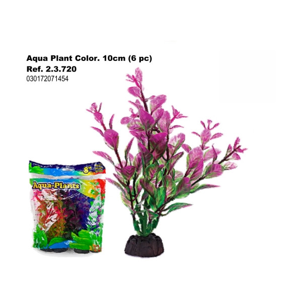 Planta Aqua Color 10Cm. 6 Piezas