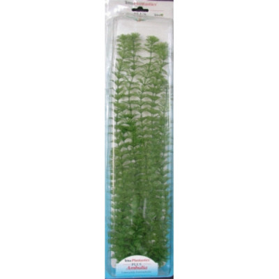 Planta Ambulia Plus (28-33Cm)