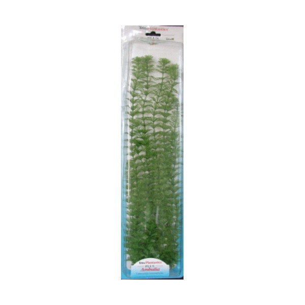 Planta Ambulia Plus (28-33Cm)