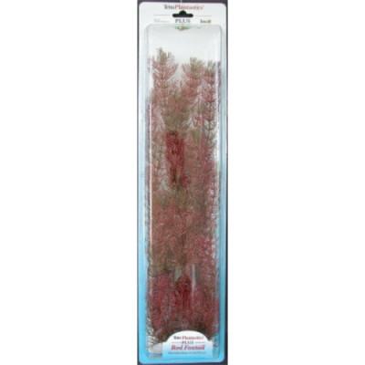 Planta Foxtail (28-33Cm)