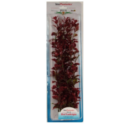 Planta Red Luwigia (35-38Cm)