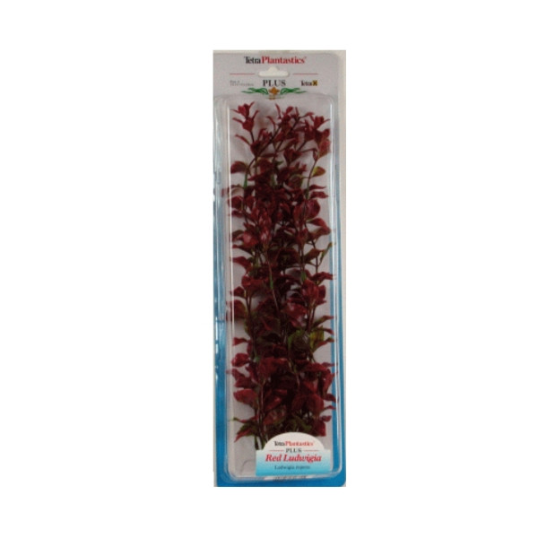 Planta Red Luwigia (35-38Cm)