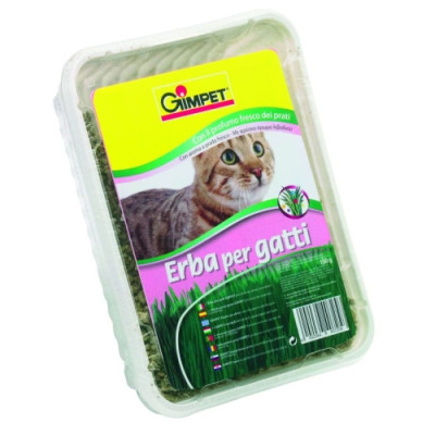 Hierba Gato Aroma Prado 150Gr.Gimpet
