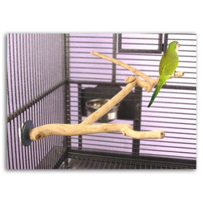 Sun Parrots Percha Java Multibranch Small