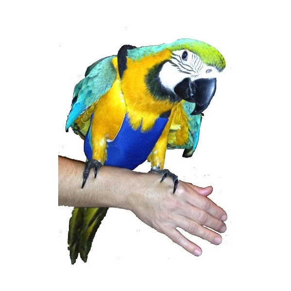 Pañal Para Guacamayo